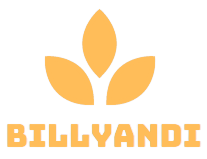 billyandi.com